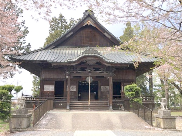 成田山薬師寺の本堂と葉桜