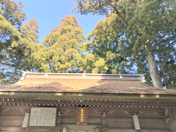 砥鹿神社の本宮の本殿上部と木々