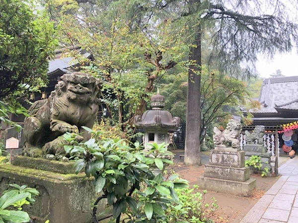 大宝八幡宮の狛犬たち