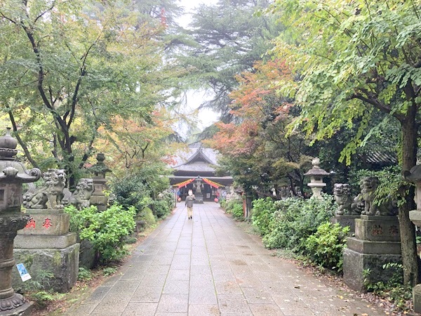 大宝八幡宮の楼門から先の参道