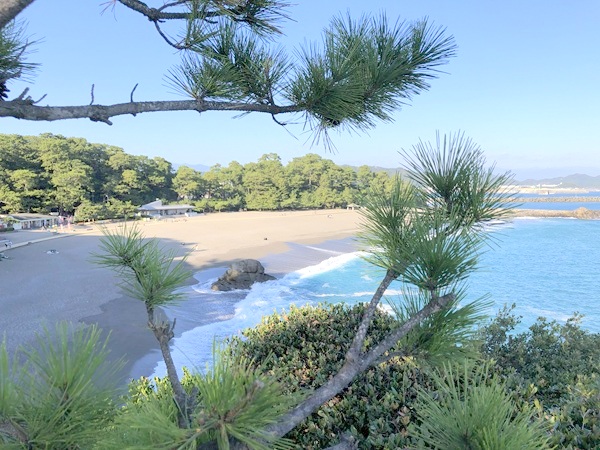 桂浜の龍王岬から龍頭岬の景色