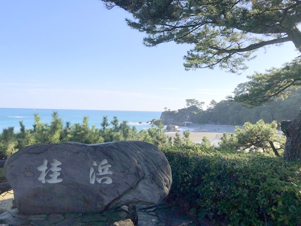 桂浜から龍王岬を見た全景
