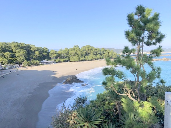 龍王岬から見下ろす桂浜の全景