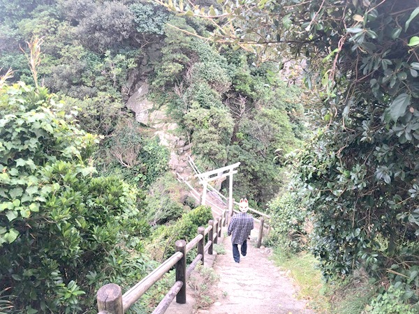 白山洞門へ下る参道と白い鳥居