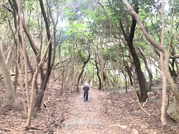 龍宮神社の下る参道を歩く