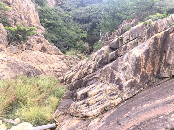 足摺岬の龍宮神社の岩の地形
