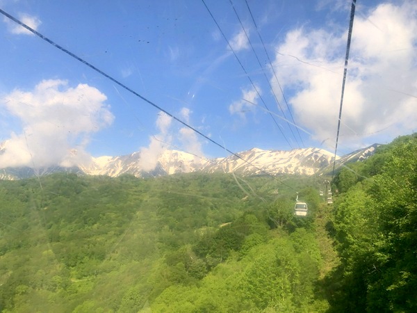 栂池自然園のゴンドラリフトからの景観