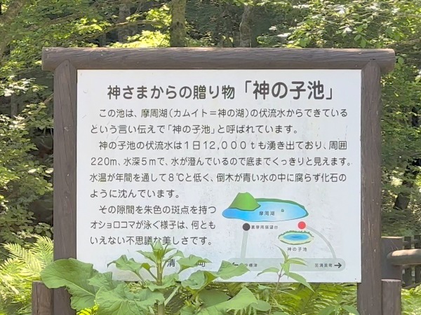 神の子池の案内看板