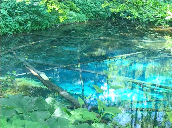 神の子池の神秘のブルー
