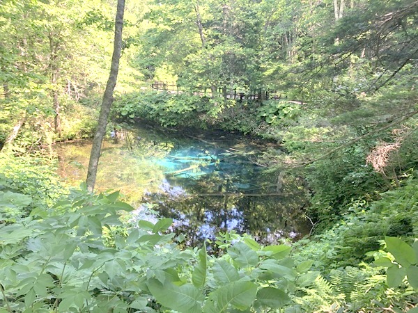 森の奥の神の子池の風景